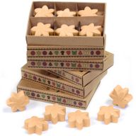 Gift Set of 6 Wax Melts - Midnight Jasmine