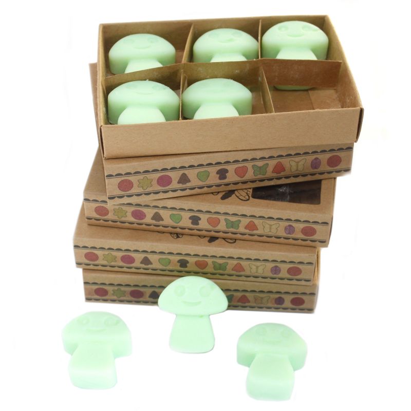 Gift Set of 6 Wax Melts - Liquorice
