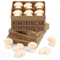 Gift Set of 6 Wax Melts - Vanilla Nutmeg