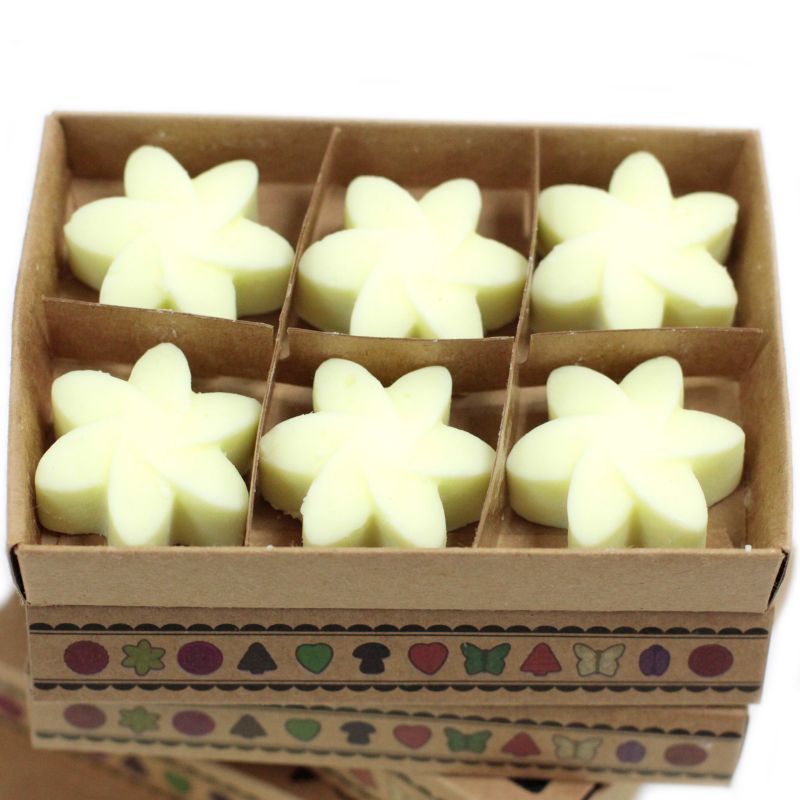 Gift Set of 6 Wax Melts - Lemon Harvest