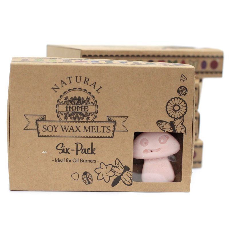 Gift Set of 6 Wax Melts - Old Ginger