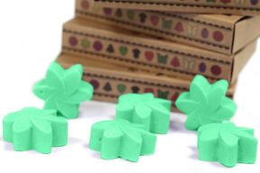 Gift Set of 6 Wax Melts - Hidden Garden