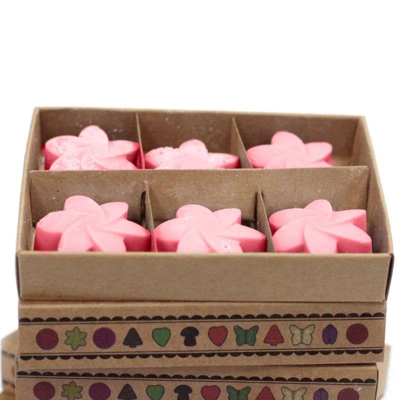 Gift Set of 6 Wax Melts - Japanese Magnolia