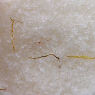Himalayan Bath Salt Blend 500g - Energise 