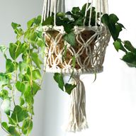 Macrame Pot Holder - Double Holder