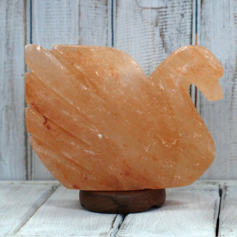Figure Shape - Swan 3x5x7 inch