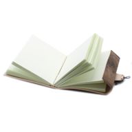 Leather Dragon Notebook (20x15 cm)