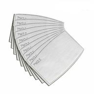 PM2.5 Face Covering Filter Insert (Children)