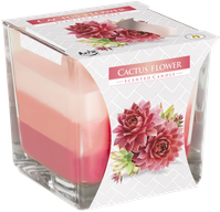 Rainbow Jar Candle - Cactus flower