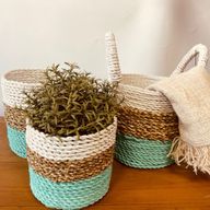 Seagrass Basket Set - Green / Natural / White