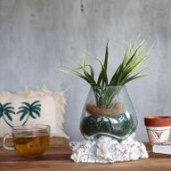 Molten Glass on Whitewash Wood - Medium Bowl