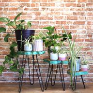 Set of 3 Gamell Wood Plant Stands - Greenwash