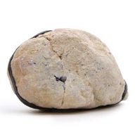 Coloured Calsite Geodes - Purple & Gold