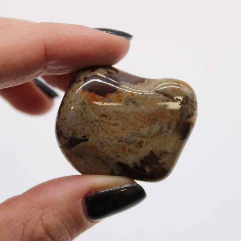 Bag of 6 Large African Tumble Stones - Jasper Nguni