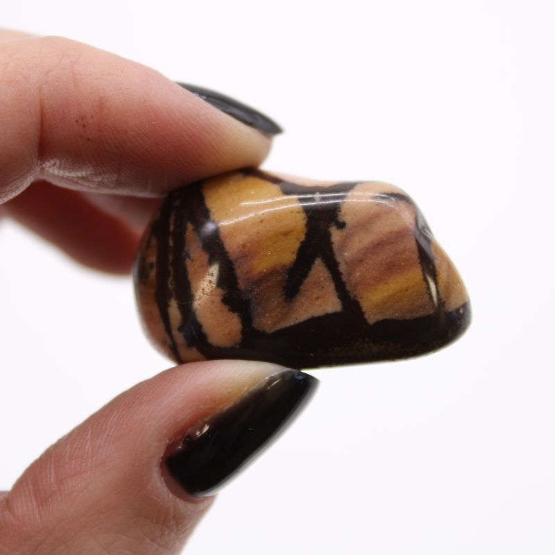 Bag of 12 Medium African Tumble Stones - Jasper Nguni