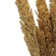 Cantal Grass Bunch - Natural