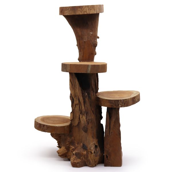Natural Teak Display
