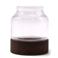 Small Shaped Terarium on Dark Tung Wood - 12x13cm
