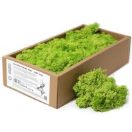 Quality Decoration Reindeer Moss - Light Grass - 635g Box