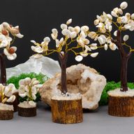 Med Gomati Chakra Circle Stone Trees - (45 stones)