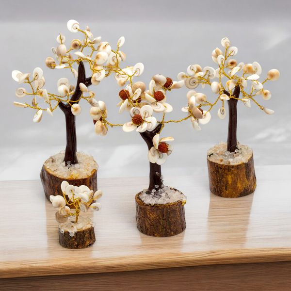 Gomati Chakra Stone Trees