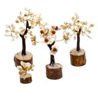Gomati Chakra Circle Stone Trees - Set of 4