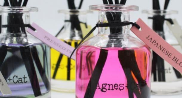 Agnes + Cat - Reed Diffusers Refills