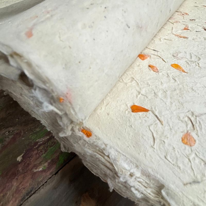 Lokta Craft / Wrapping Paper (51x76cm) - Marigold