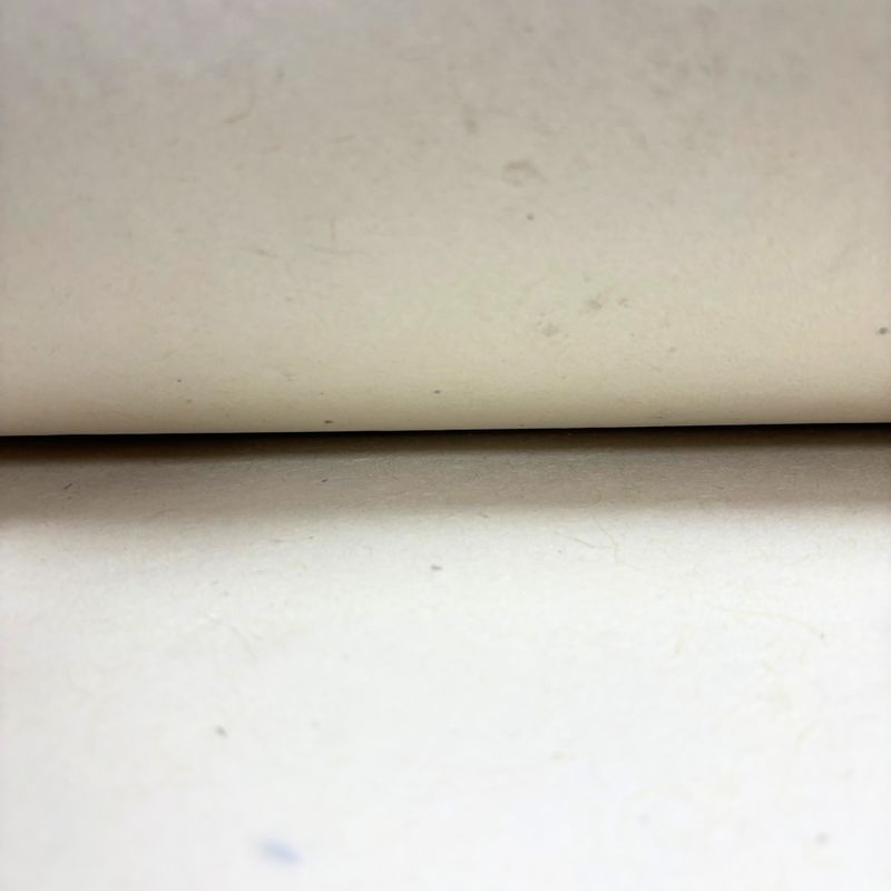 Lokta Craft / Wrapping Paper (51x76cm) - 5gms Plain Paper