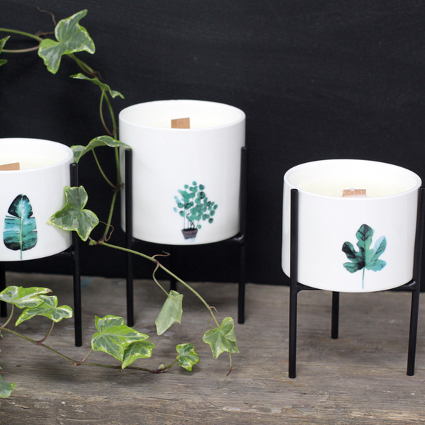 3xBotanical Wooden Wick Soy Candle