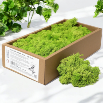 Quality Decorative Reindeer Moss - 635g Box