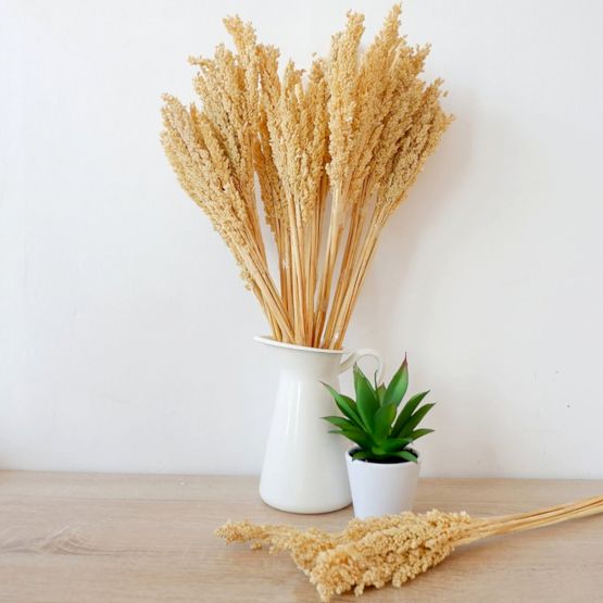 Cantal Grass Bunch