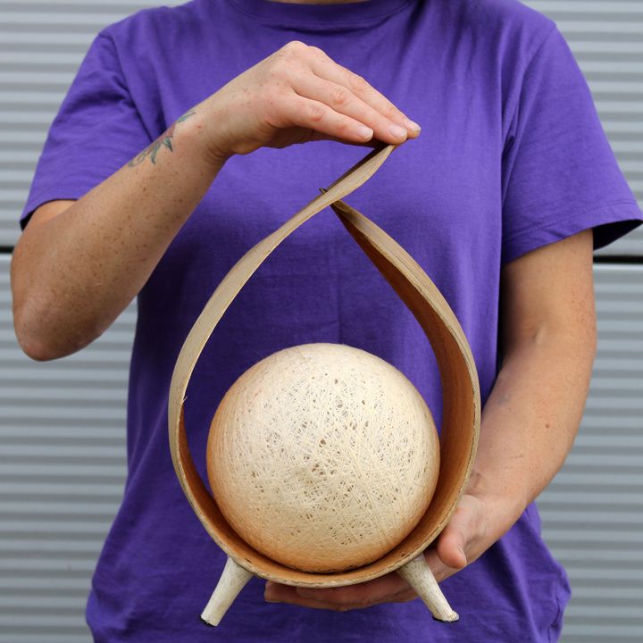 Coconut Lamps
