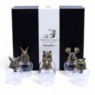 Gift Set of 6 Glasses (100ml) - Mystical Creatures - Antique Bronze