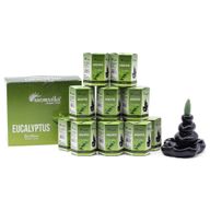 Masala Backflow Incense pack of 10 - Eucalyptus