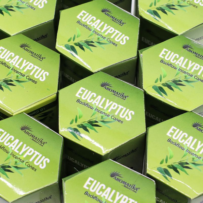 Masala Backflow Incense pack of 10 - Eucalyptus