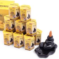 Masala Backflow Incense pack of 10 - Coconut & Mango