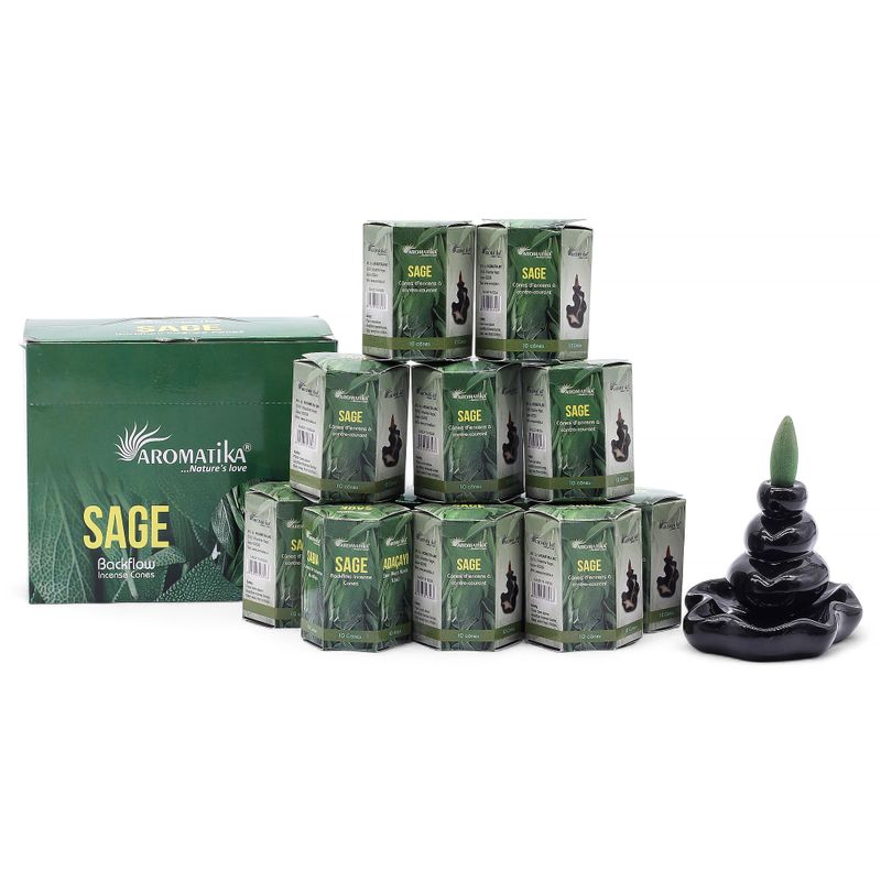 Masala Backflow Incense pack of 10 - Sage