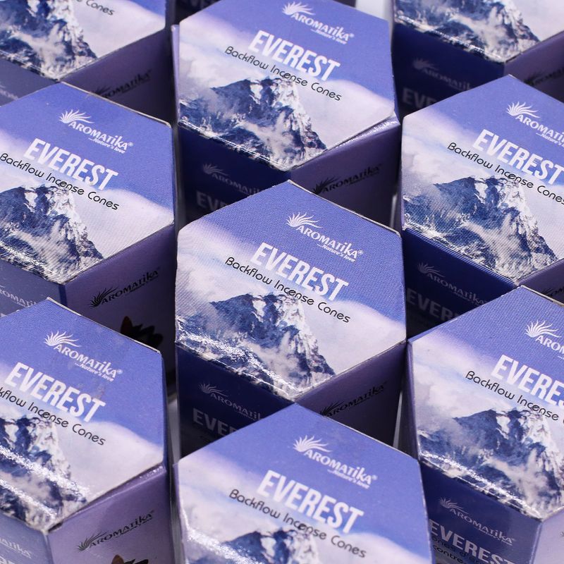 Masala Backflow Incense pack of 10 - Everest