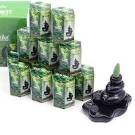 Masala Backflow Incense pack of 10 - Rain Forest