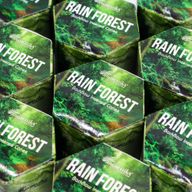 Masala Backflow Incense pack of 10 - Rain Forest