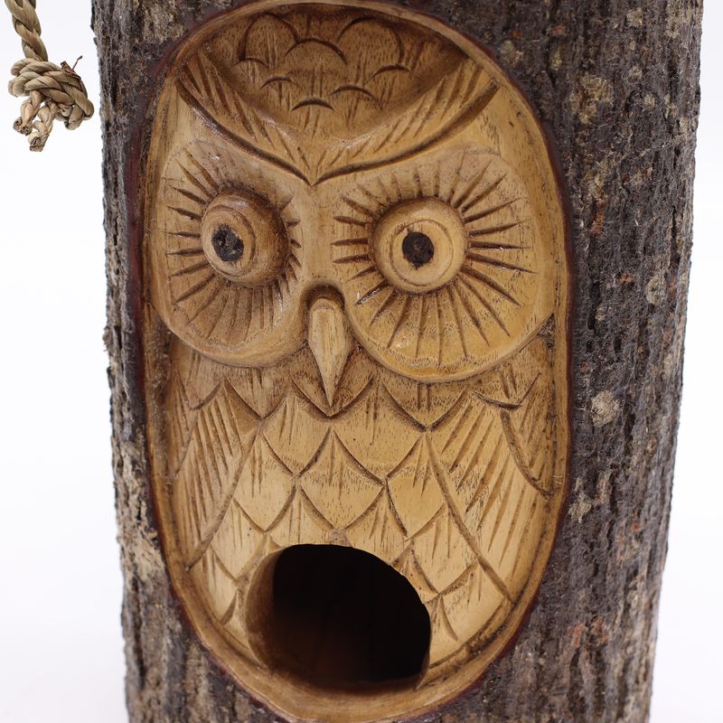 Tree Trunk Face - Bird House - Wise Owl