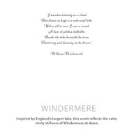 Agnes + Cat Botanical Soy Wax Candle - Windermere