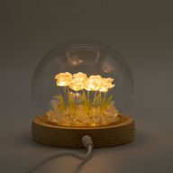 Floral Glow Garden Dome - 10 Pink Roses - LED USB