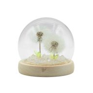 Floral Glow Garden Dome - 2 Dandelions - LED USB