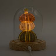 Floral Glow Garden Dome - 3 Sea Urchins - LED USB