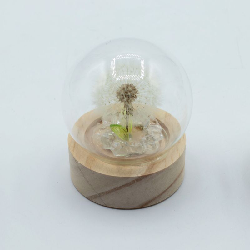 Floral Glow Garden Dome - 1 Dandilion- LED Battery