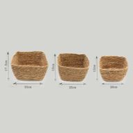 Seagrass Square Baskets - Natural - Set of 3