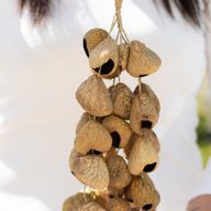 Kenari Shell Long Rattle (50 Shells)