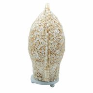 Boho Sea Shell Lamp - Cut Art Shell Large Round - 30cm